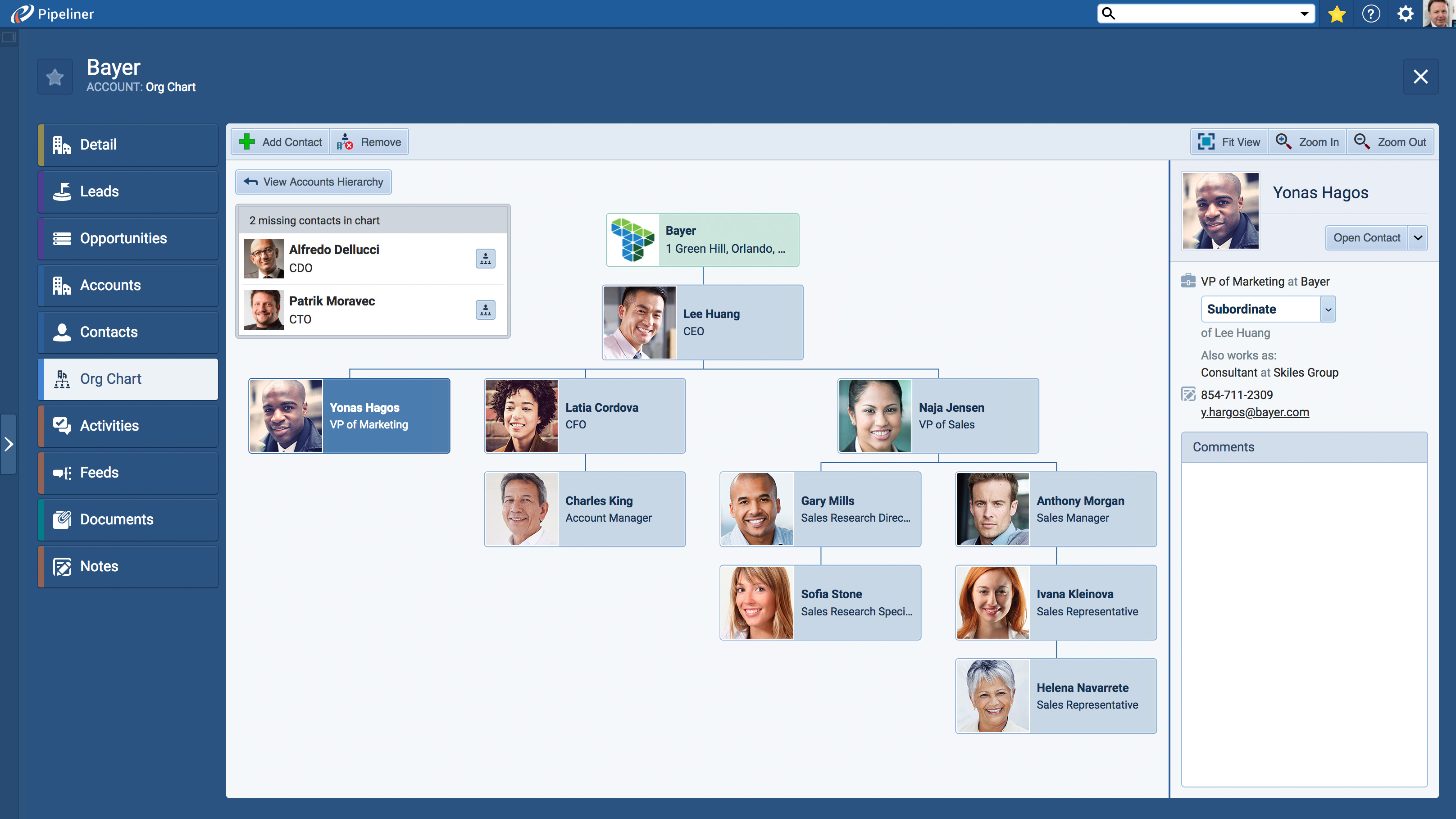 Software Sales Organization Chart