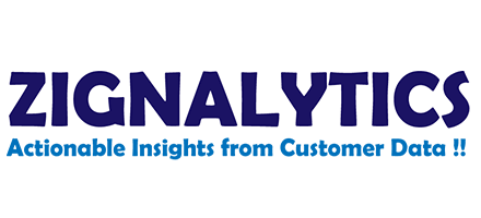 Zignalytics CRM Consulting logo