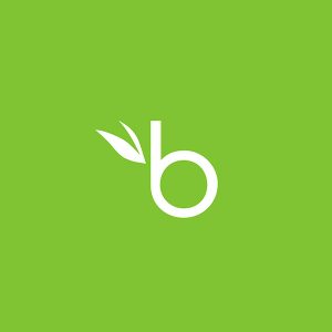 BambooHR logo