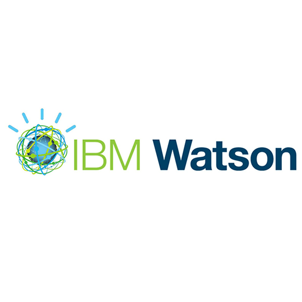 IBM Watson logo