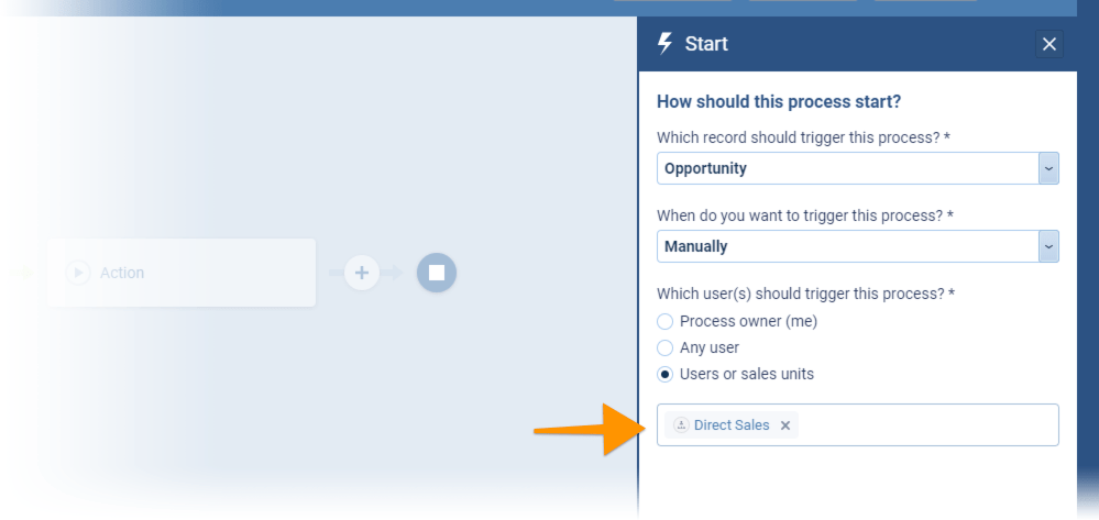 process Manually and assign it to the Direct Sales team