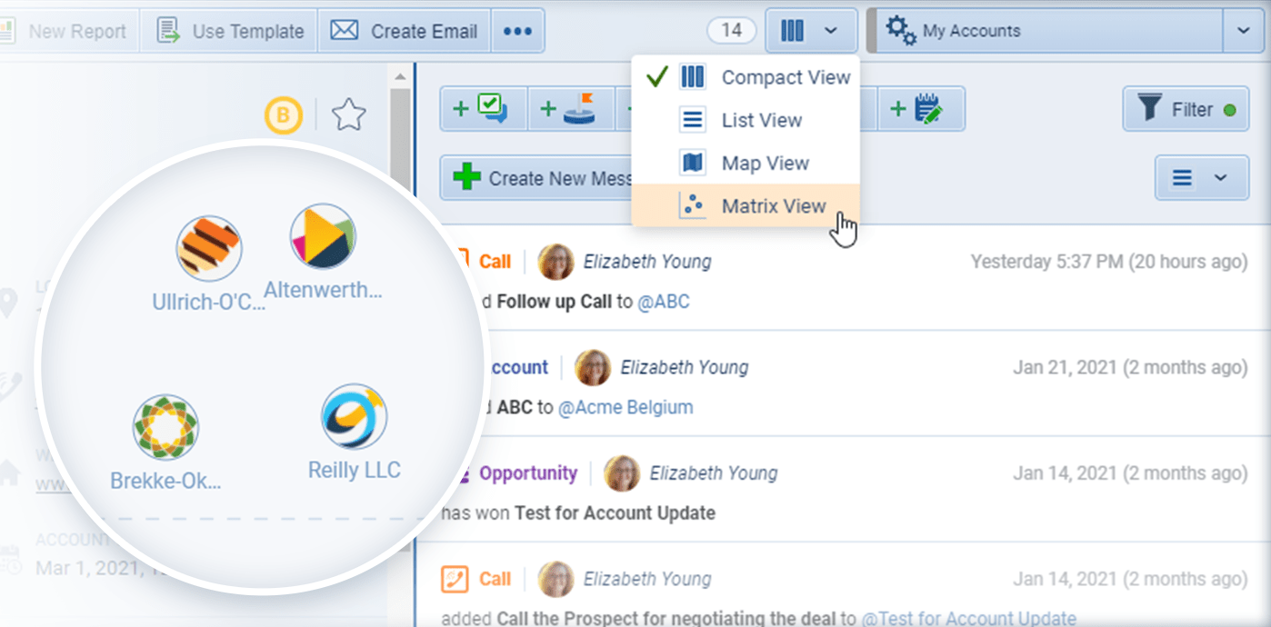 Account Matrix view is invaluable for Account Management, allowing the user to visualize key metrics