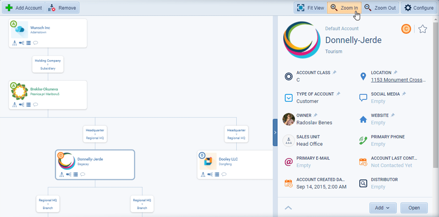 Account Planning Example › the Sales CRM Org Chart