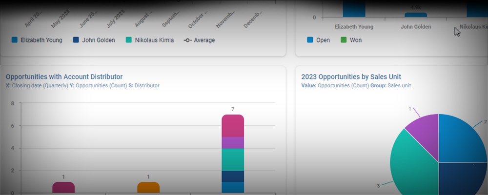 highly visual opportunities for account and sales