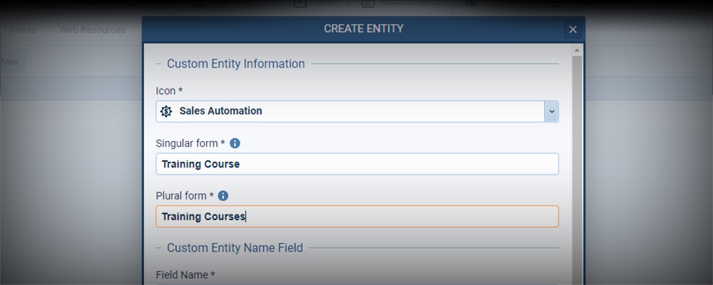 custom entity informations simple customization