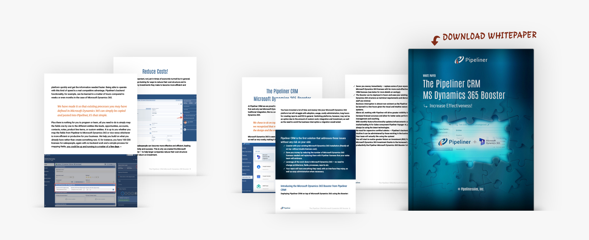 Pipeliner CRM MS Dynamics 365 Booster White-paper download